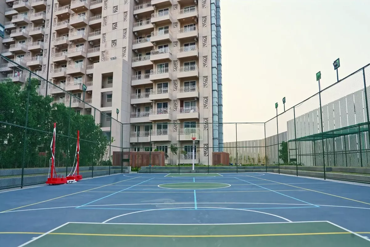 basketball court
